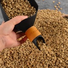 kawio | Coffee Scoop, 2 Sizes