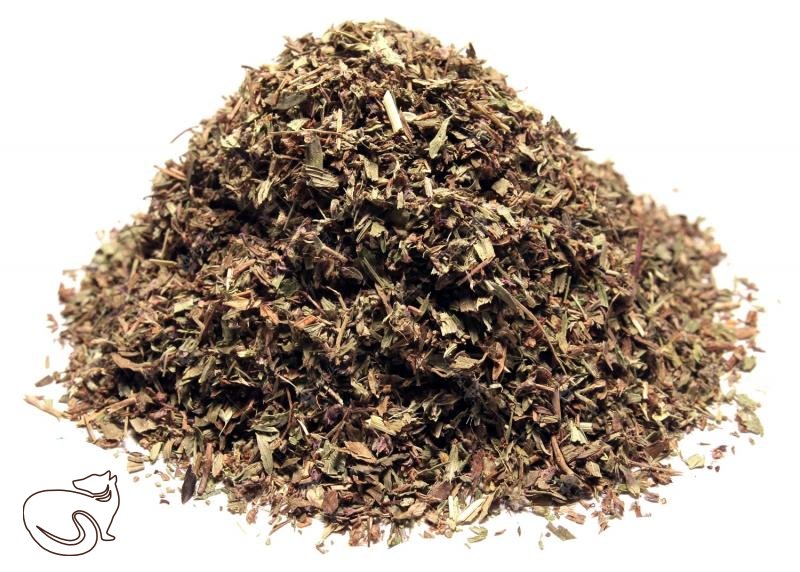 Motherwort - herbal tea, min. 50 g