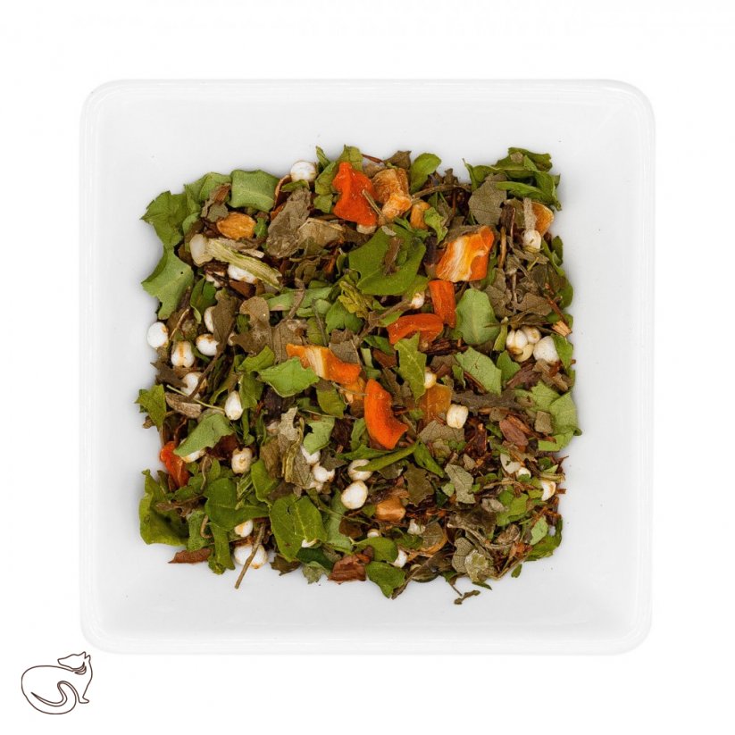 Quinoa s kakaem BIO – bylinný čaj, min. 50g