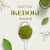 Matcha Ikedoki (Tamaryoku) – Premium Ceremonial Grade