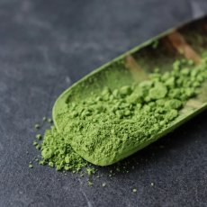Matcha Kodama – Premium Ceremonial Grade