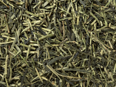 Green Tea  Japan Kukicha BIO – Mildly spiced