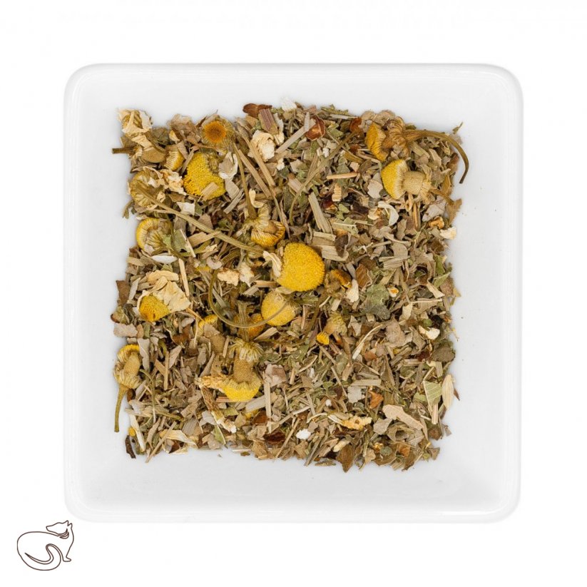 Detox BIO - flavored herbal tea, min. 50g