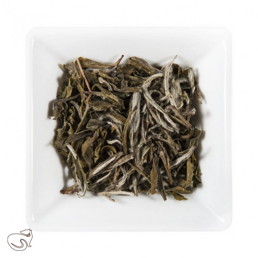China White Snow Bud – bílý čaj, min. 50g