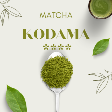 Matcha Kodama – Premium Ceremonial Grade