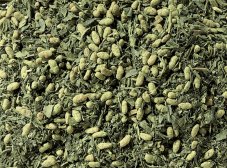 Zelený čaj Matcha Genmaicha BIO – S praženou rýží