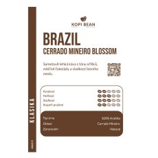 Brazil cerrado mineiro blossom