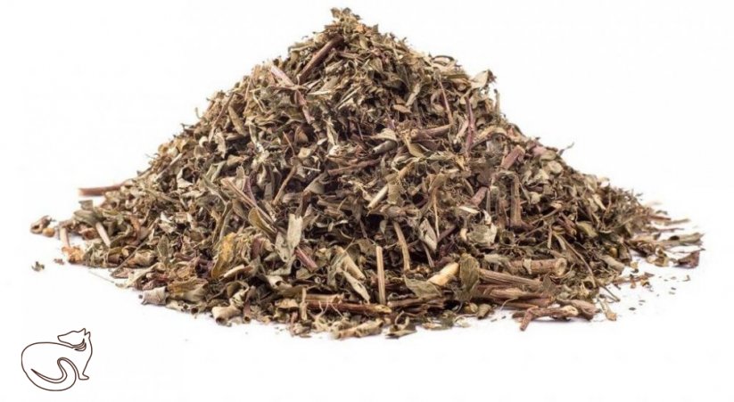 Chanca Piedra - herbal tea, min. 50g