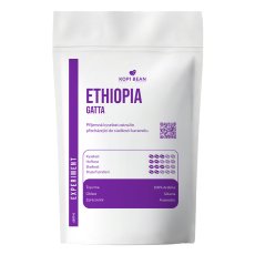Ethiopia Sidama Gatta, Anaerobic